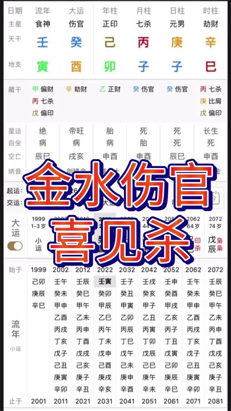 金水命格|金水命格的寓意及象征（金水命格的寓意及象征是什么）